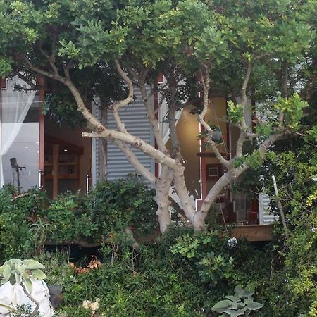 Quirky Eco-Friendly Artist Studio Ciudad del Cabo Exterior foto